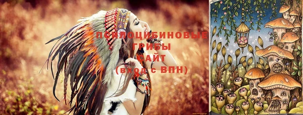 мдпв Беломорск