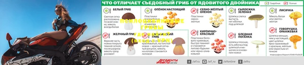 кокаин колумбия Белокуриха