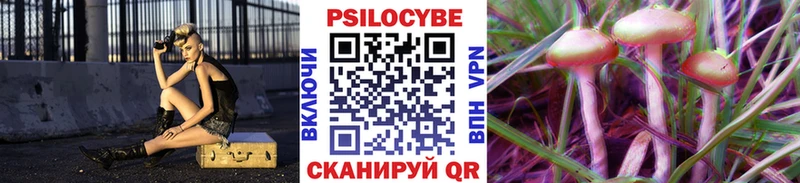 как найти   Рудня  Псилоцибиновые грибы мухоморы 